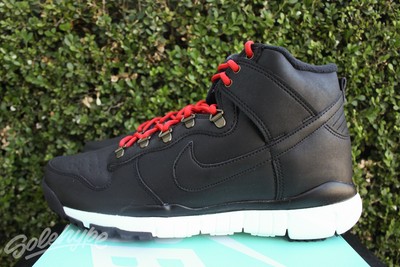 david chang nike sb