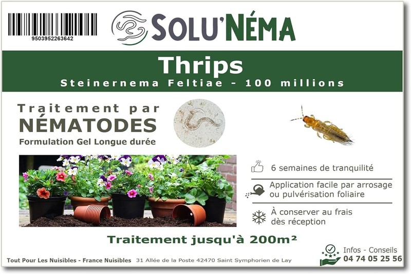 Solunema - NÃ©Matodes Contre Les Thrips 100 Millions Longue DurÃ©E