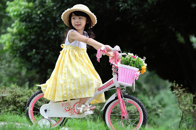 Royalbaby Jenny Girls Kids Bike 12 14 16 18 20 Inch Girls Bicycle with Basket fo