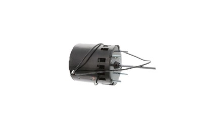 Regal Beloit-Fasco D209 - 1/30Hp 115V 3000Rpm 3.3'' Motor