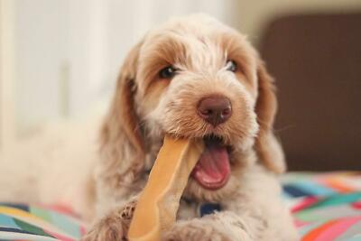 NATURAL HARD YAK CHEESE STICKS CHEWS LONG LASTING ORGANIC DOG TREAT FOR ALL DOGS