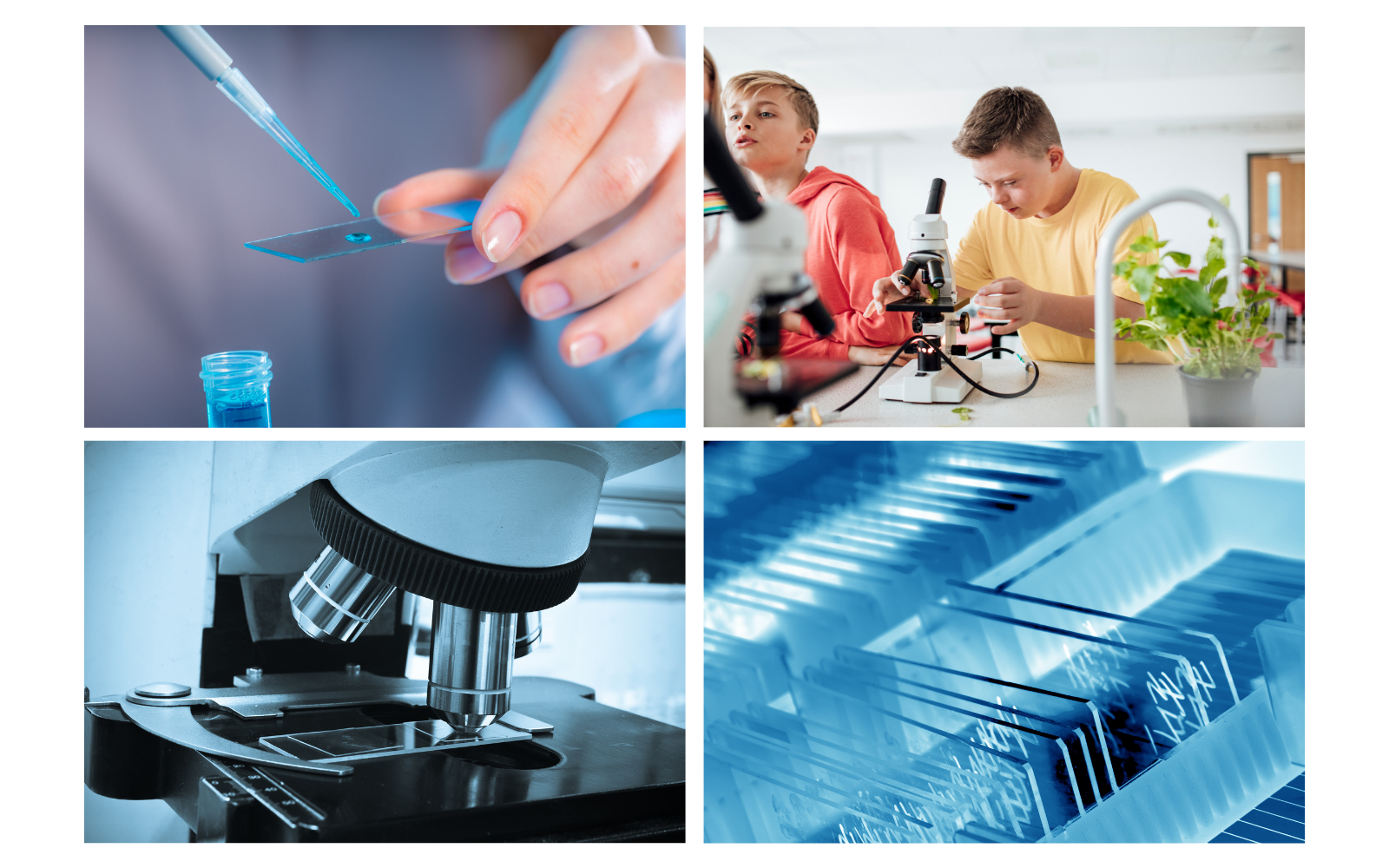 Microscope Slides 50 Pcs Pre-Cleaned Blank Ground Edges 25.4mmx76.2mm (3"x1")