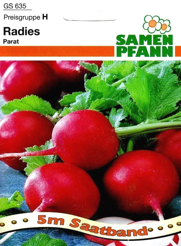 Radieschen 