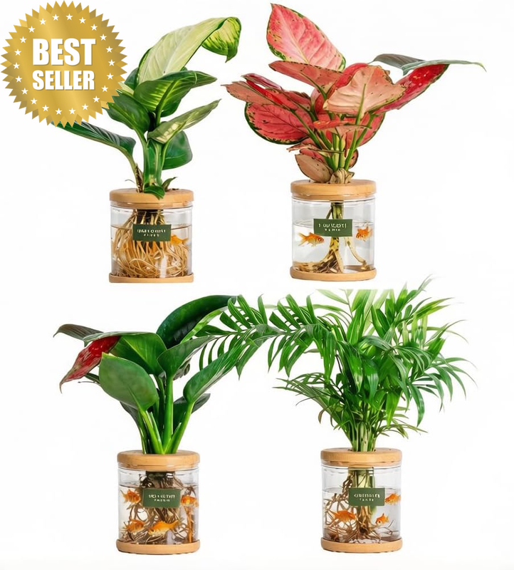 Propagation Vase 4Pcs Transparent Planter Pot, Shatterproof for Small Potted Pla