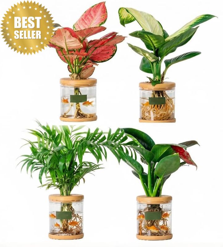 4Pcs Propagation Vase, Transparent Plant Propagation Stations with Lid, Shatterp