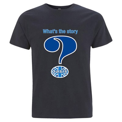 Men's Oasis Question Mark Slim Fit T-shirt X-Large Navy