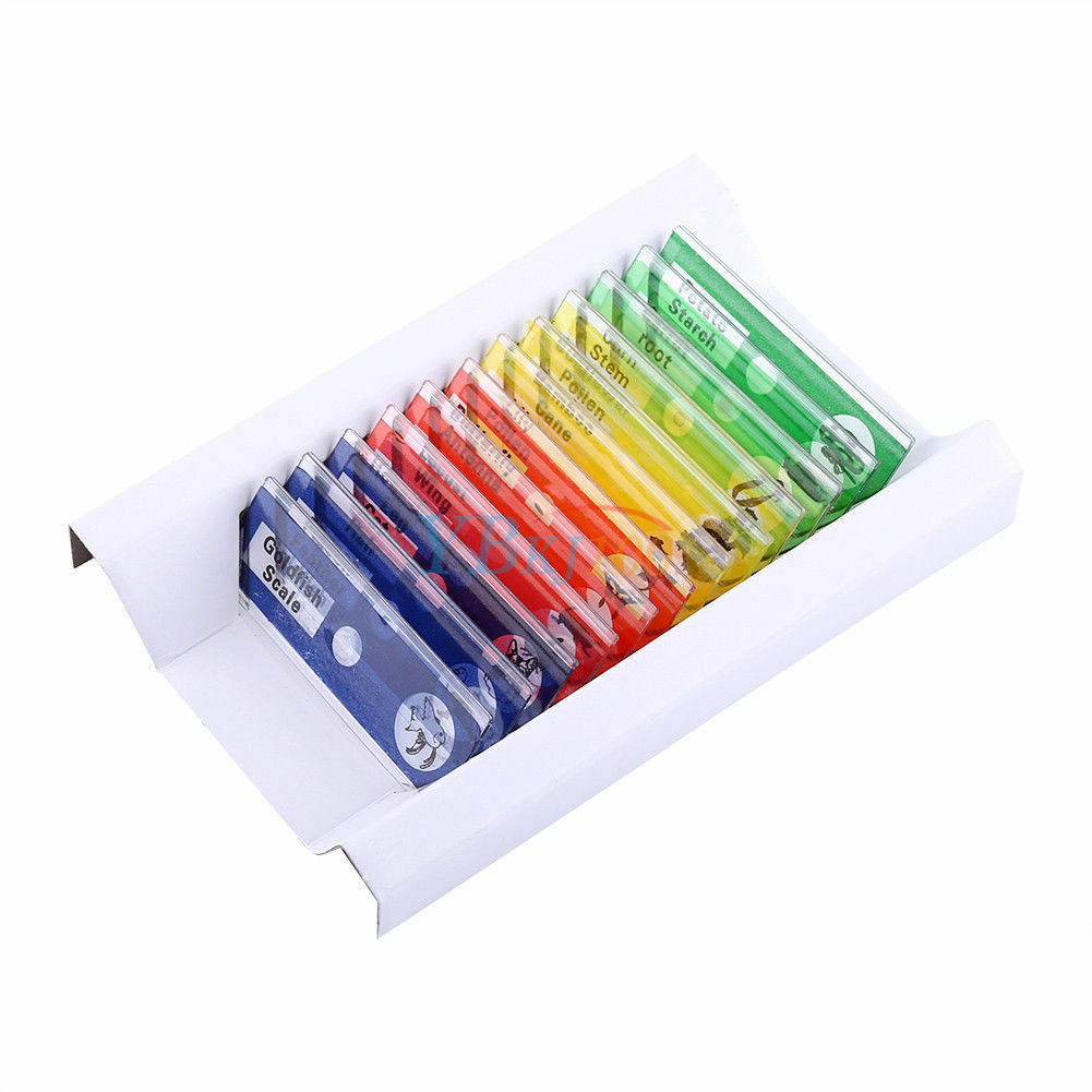 12 pc Prepared Microscope Slides for Kids
