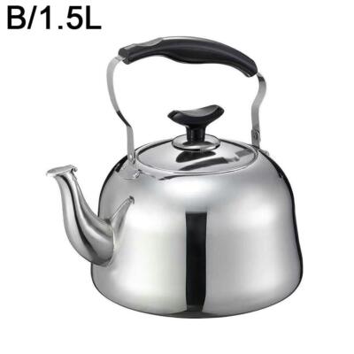 Stainless Steel Sound Kettle for Boiling Water and Making Tea м 