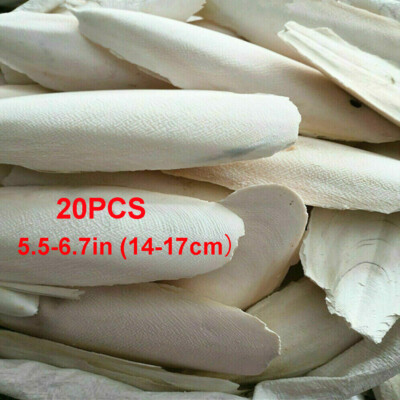 20 PCS Cuttlebone for Birds Parrot Chewing Cuttle Bone for Sharp Beaks USAA+