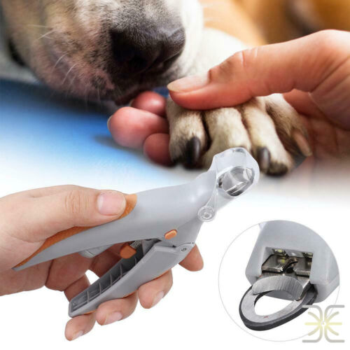 5X Magnification Lens Pet Cat Dog Illuminated Trimmer w/ LED Light Nail Clippers