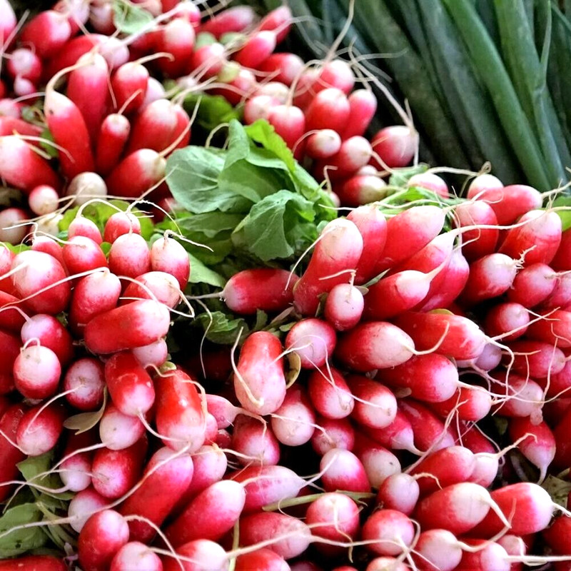 Radies Flamboyant 2 - Besonders Zartes, Butterweiches Radieschen - Samen Saatgut