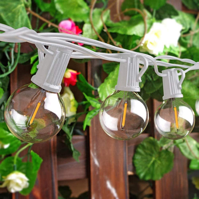 Clear globe 2024 string lights