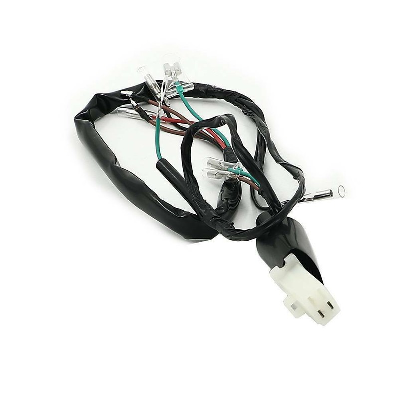 Honda Zoomer X Wiring Harness