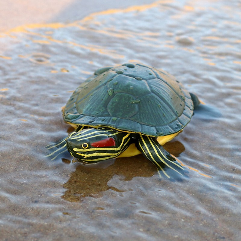 Realistic Tortoise Toys Simulated Trachemys Figures Wildlife Animal Toys