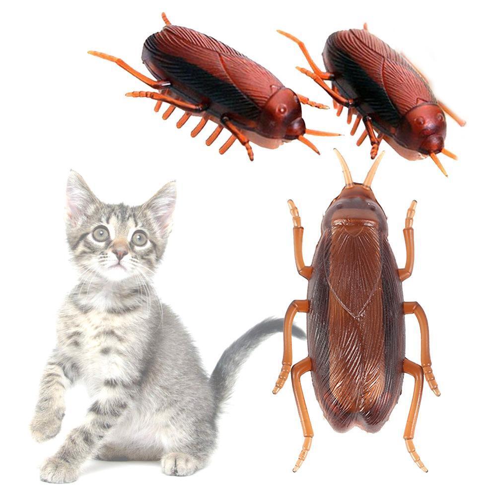 Pet Activity 2024dog-cat