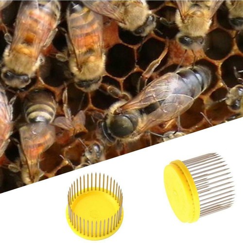 Packung mit 10 Imkerei Moving Pfropfen Tools Shift Nadel Imker Bee Hive