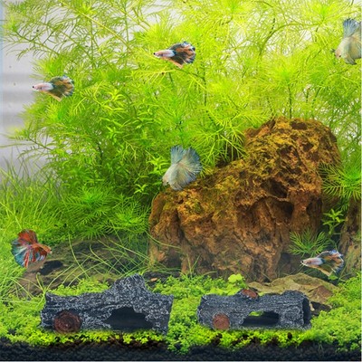Verfallende Stammholz Aquarium Dekor Treibholz für Fish Tank Harz Höhle Ornament
