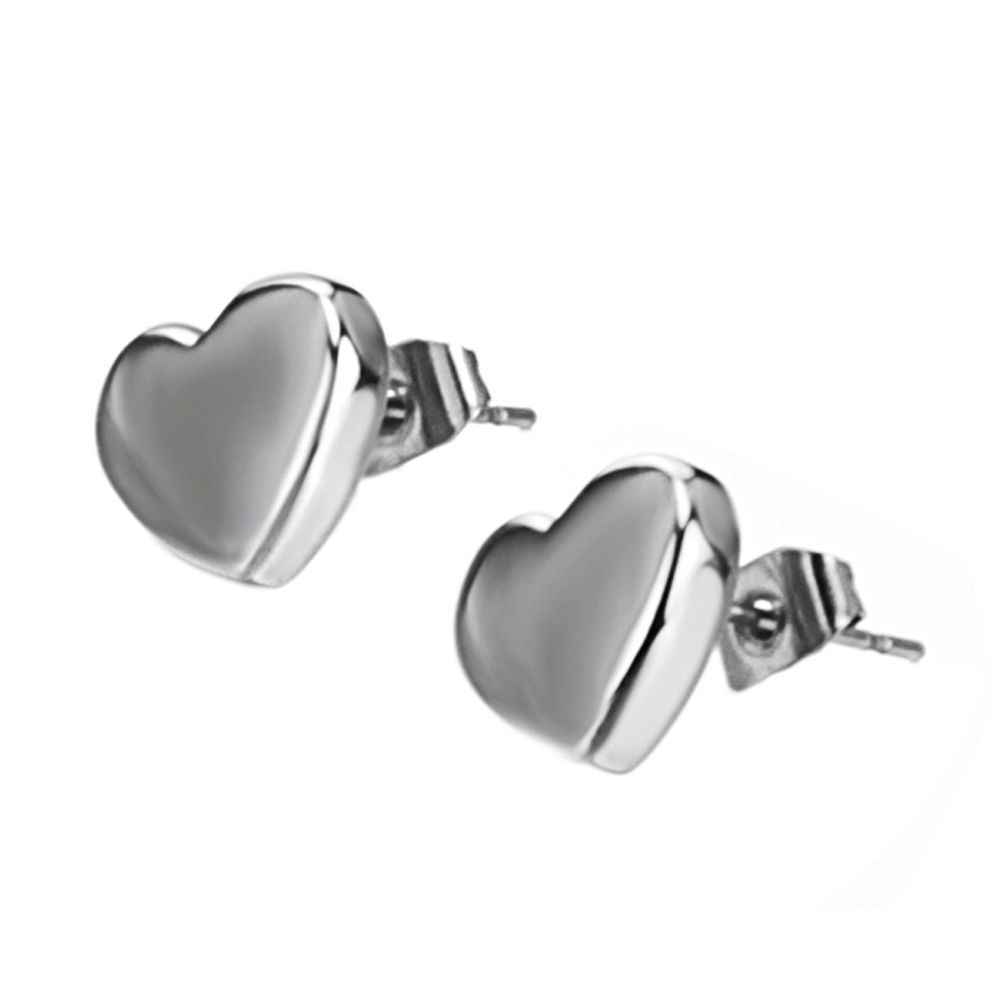 Titanium Fashion Earrings