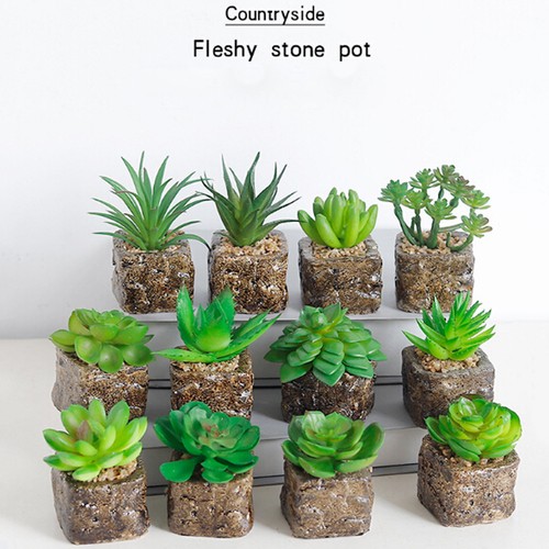 Plant Pots Outdoor Succulent Fleshy Flower Decorative Square Home