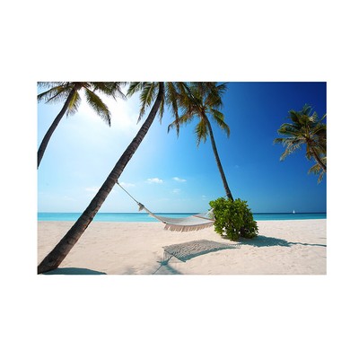 Beach Seaside Photo Photography Video Scenery Background Studio Props Backdrops