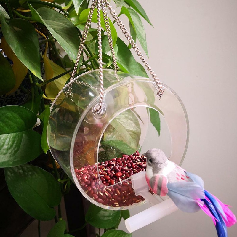 Wild Bird Feeder Squirrel Proof Outdoor Garden Seed Food Tree