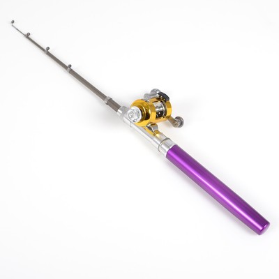 pen fishing pole