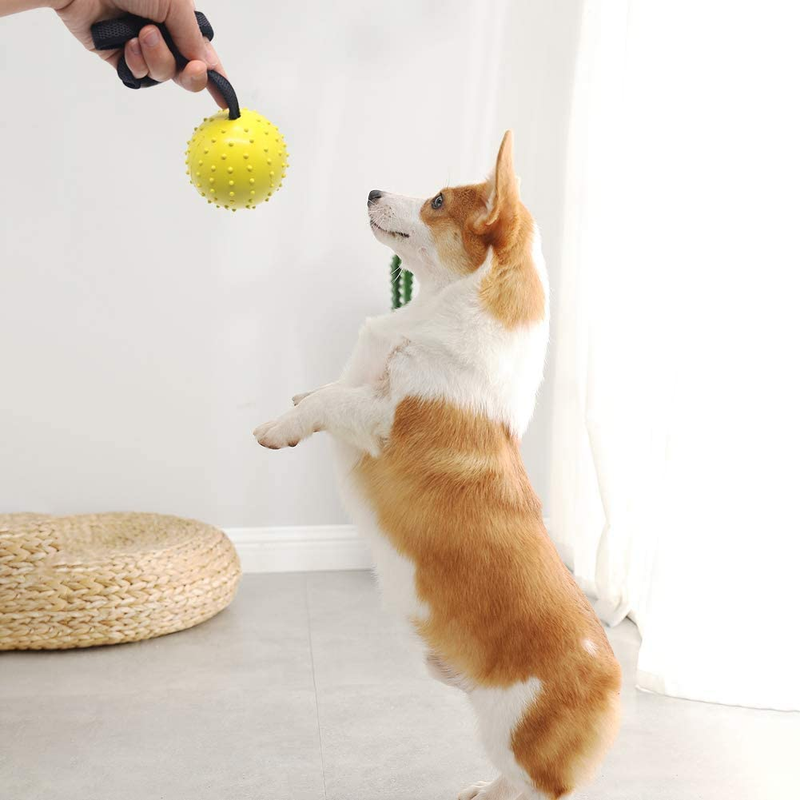 Vivifying Dog Ball on a Rope, 2 Pack Natural Interactive Rubber Ball for Fetch,