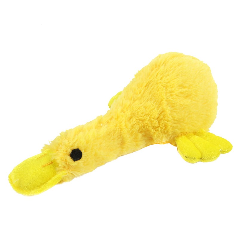 pet duck toys