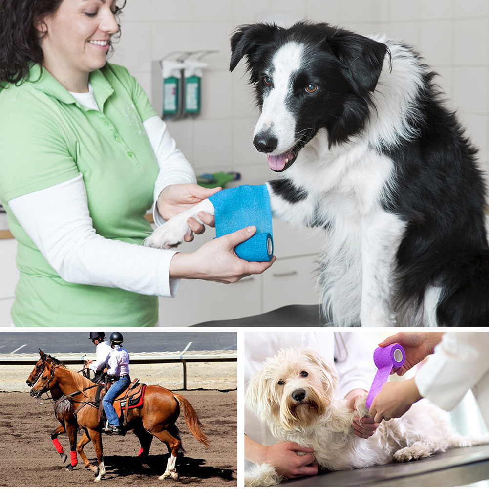 10 Rolls Vet Wrap Tape Self Adhesive Bandages Elastic for Pets Horse Dogs Cats 