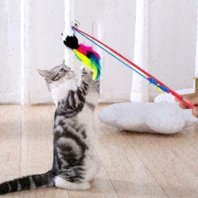 Cat Feather Mouse Stick Toy Kitten Playing Rods Pet NEW. Toys R8Z0 L9T D6K4~US