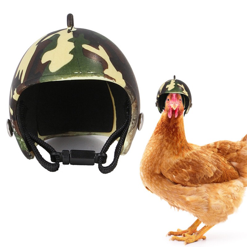 Chicken Helmet Small Pet Hard Hat Bird Quail Pigeon Hat Headgear Pet Bird Helmet
