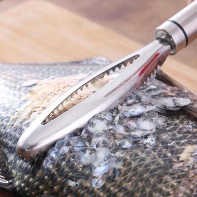 24cm Fish Scale Remover Scaler Scraper Cleaner Kitchen Lot Peeler