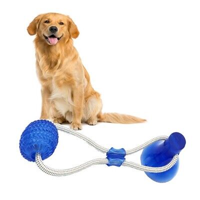 Dog Chew Suction Cup Tug of War Toy, Rubber Interactive Pet Chewing Toy AU STOCK