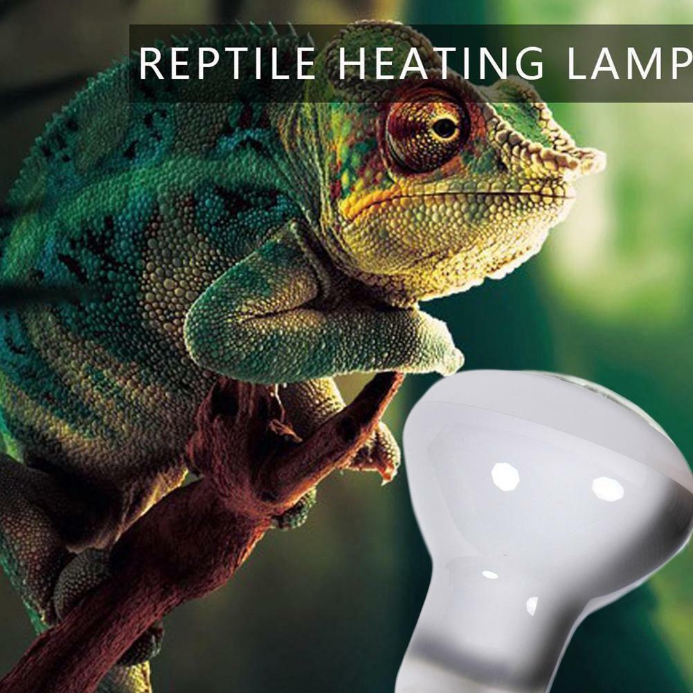 Reptilien Infrarot Glühbirne Flutbeleuchtung Haustier Erwärmung Ausrüstung