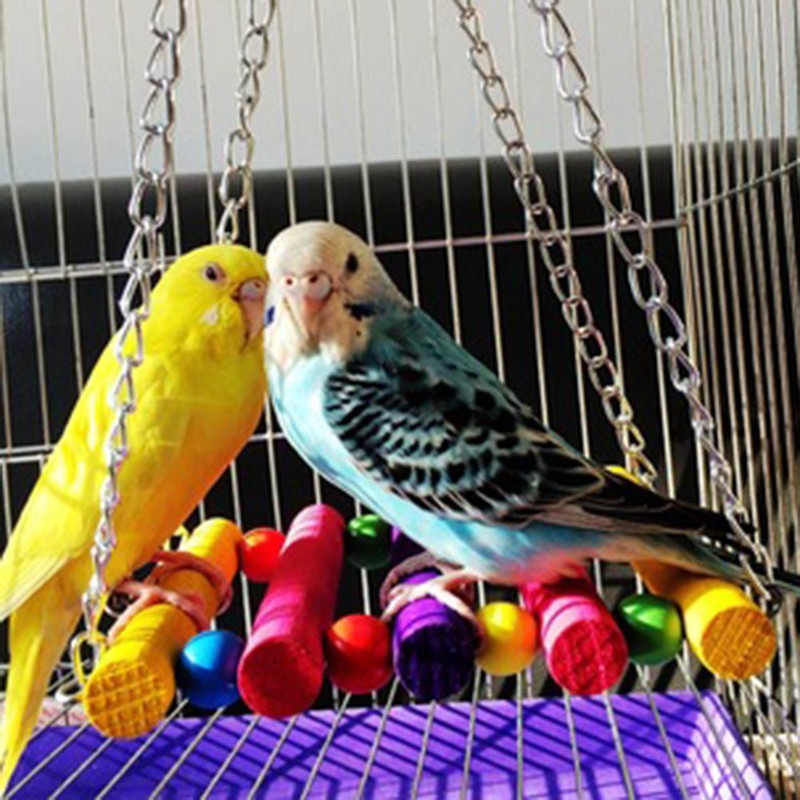 Détails Sur Meilleure Oiseau Perroquet Perruche Calopsitte élégante Cage Hamac Balançoire