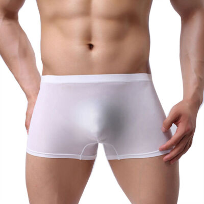US Men's Ice silk Seamless Boxer Briefs Pouch Underwear Shorts Trunks Underpants