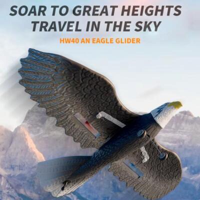 R C Plane Remote Control Eagle Plane RTF Airplane 2.4GHZ 2CH Flying Bird C7X2