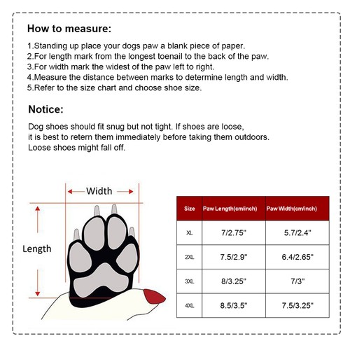 Dog Foot Size Chart