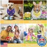 Vivifying Easter Dog Bandanas - 2 Pack Festive Pet Accessories with Cute Bunny and Carrot Patterns, Perfect for Easter Celebrations (X-Large, Purple and Yellow)