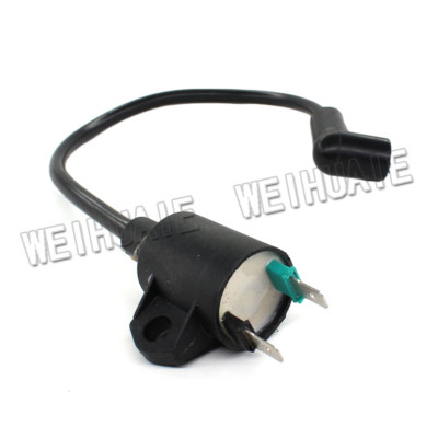 Ignition Coil For TallGator 63024 63025 63CC 2HP 700 900 Watt Gas Generator