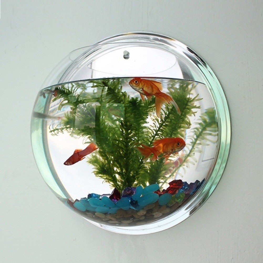 LARGE WALL MOUNTED HANGING ROUND BOWL FISH TANK AQUARIUM 29CM 4.6L