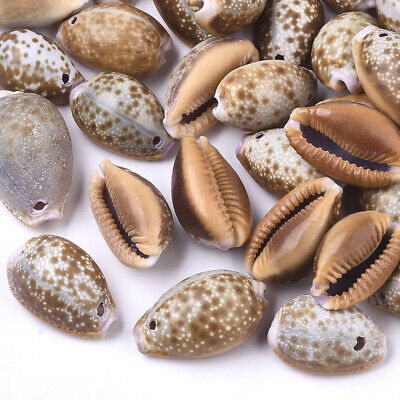 10pcs Camel Natural Cowrie Shell Pendants Smooth Mini Charms Crafting 16~28mm