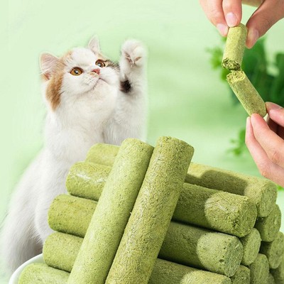 Cat Grass Sticks for Indoor Cat Grass Chew Sticks Teeth Cleaner Cat Chew Toy US