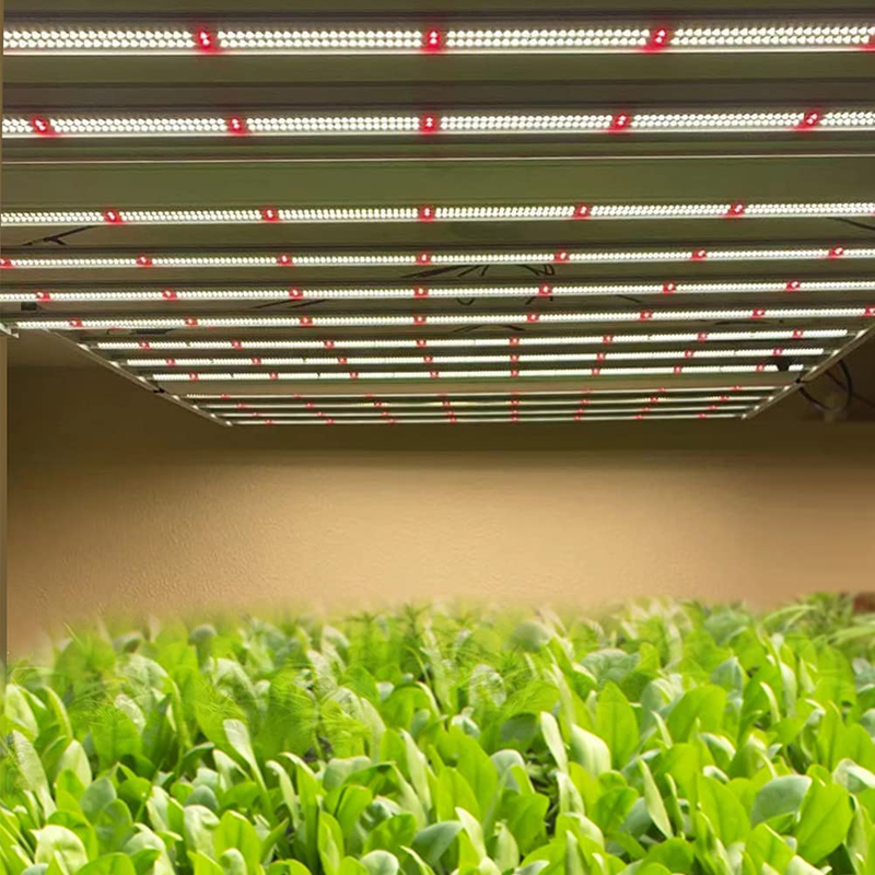 Fold-8 760W Full Spectrum LED Grow Light for Indoor Plants -4X4Ft/5X5Ft Coverage