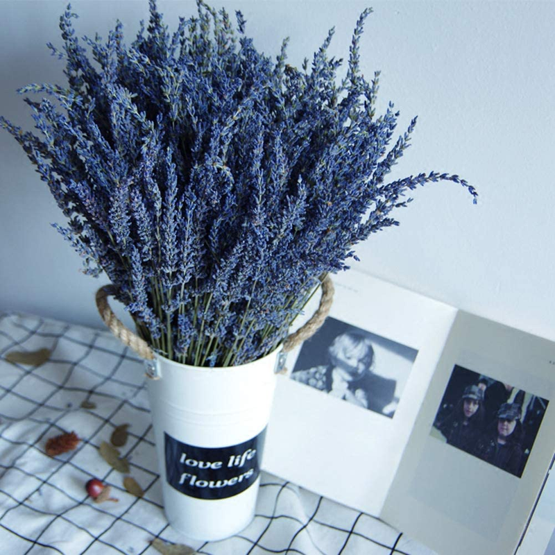 Natural Lavender Bundles, Freshly Harvested 200+ Stems Dried Lavender Bunch 16"