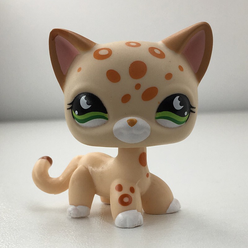 lps shorthair cat leopard