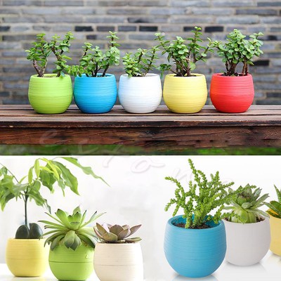 Colourful Mini Round Plastic Plant Flower Pot Garden Home Decor