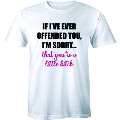 If I've Ever Offended You I'm Sorry That You're A Little B*tch - Rude Mean Tee