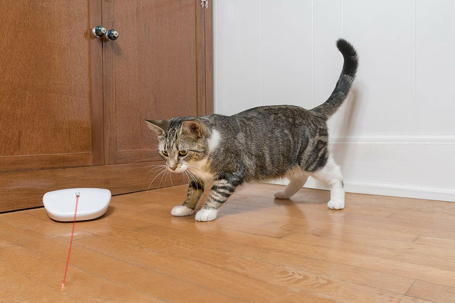 PetSafe Laser Chase Automatic Laser Light Cat Toy