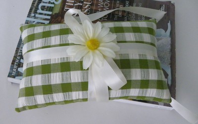Green Gingham Ring Bearer Wedding Pillow